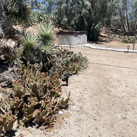Mojave Desert Pied-A-Terre Юка Вали Екстериор снимка