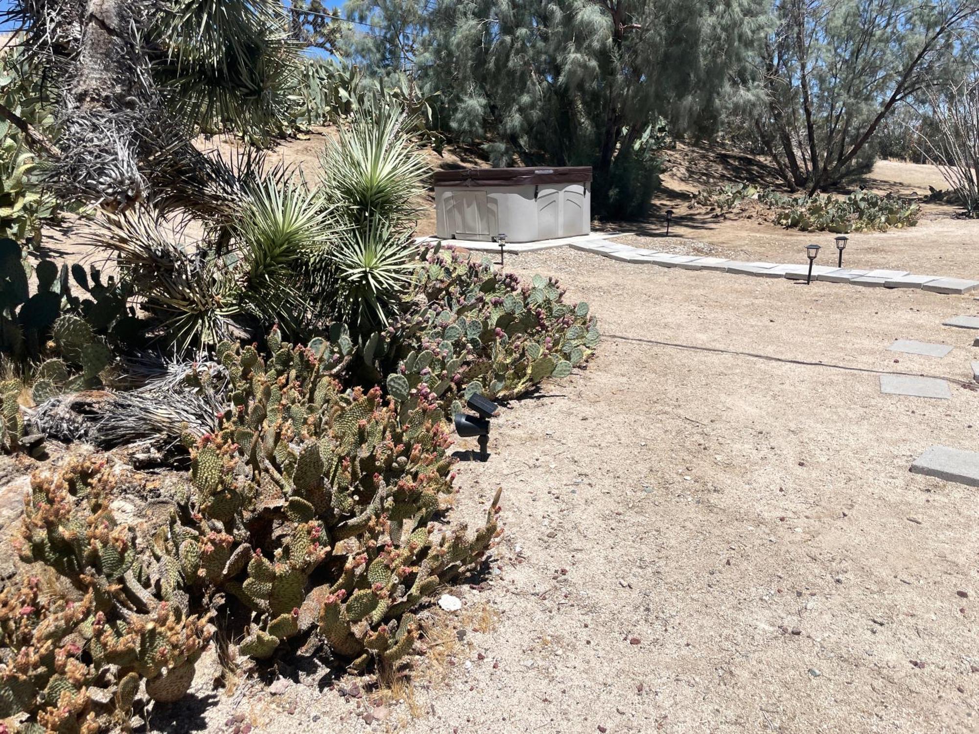 Mojave Desert Pied-A-Terre Юка Вали Екстериор снимка
